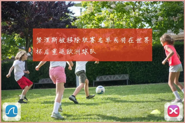 努涅斯被移除联赛名单或将在世界杯后重返欧洲球队