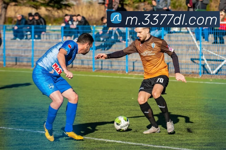 3377体育发展历程